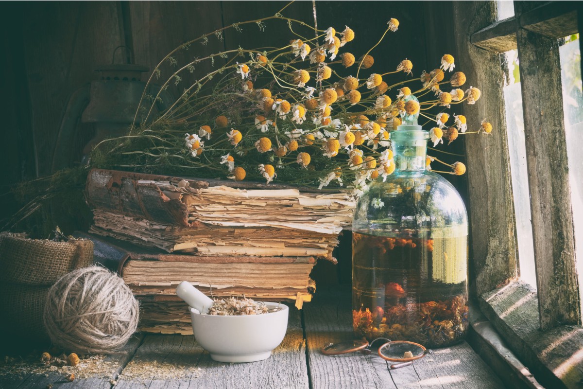 Anti-Inflammatory Ingredients in skincare