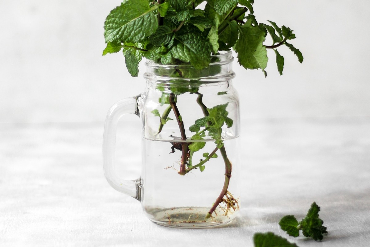 Natural Remedies for Acne